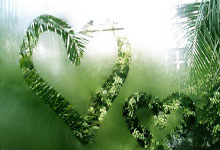 DB体育官方入口-多特蒙德巨星伤愈复出即破门，全场球迷沸腾，同时目前.